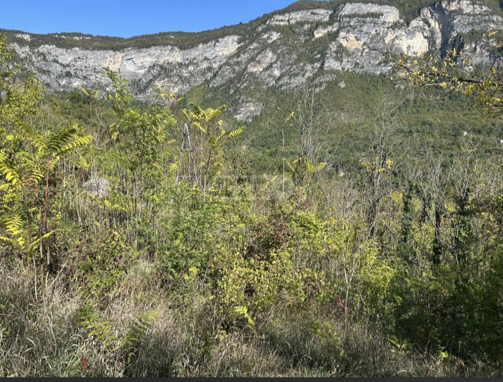 იყიდება სასოფლო-სამეურნეო მიწის ნაკვეთი ცაგერში